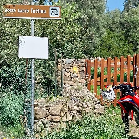 شقة إيغليزياس  في L'Arancio Antico المظهر الخارجي الصورة